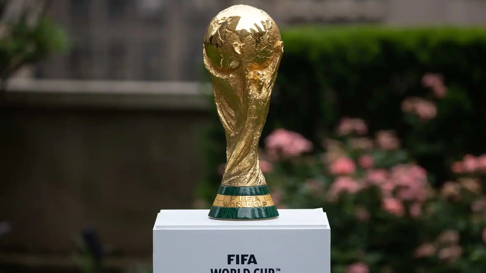 fifa world cup 1656997258973 1660124855720 1660124855720.jpg